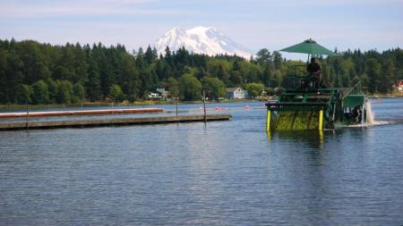 Working with Mount Rainier on the horizon